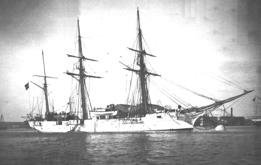 Albatros