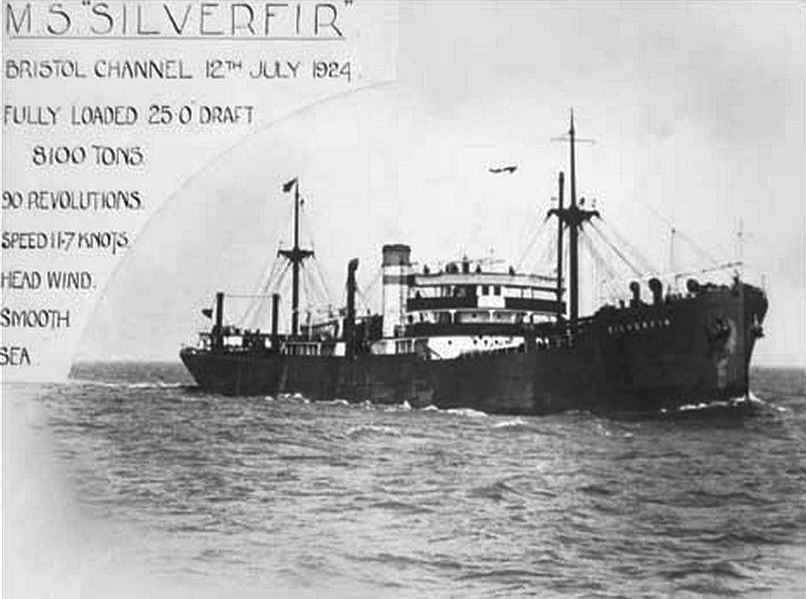 Silverfir